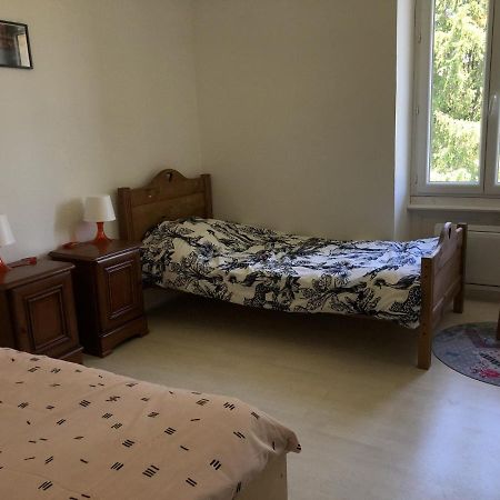Chambres Individuelles Avec Partie Commune Ou Logement Entier Si Disponible Via Rhona Vulbens Exterior photo